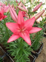 [5062 Fair Banks No02.JPG]